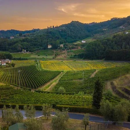Villa Rustic Elegance In The Heart Of Tuscany