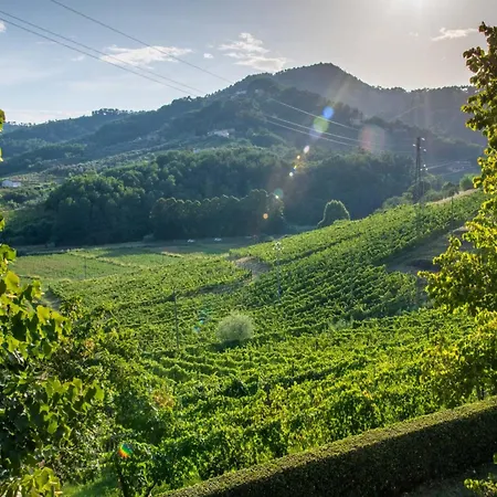 Rustic Elegance In The Heart Of Tuscany