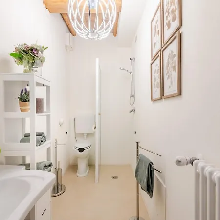 Rustic Elegance In The Heart Of Tuscany Lucca