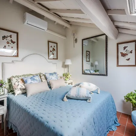 Villa Rustic Elegance In The Heart Of Tuscany Lucca