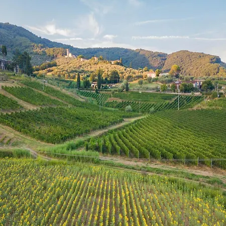 Rustic Elegance In The Heart Of Tuscany * Lucca